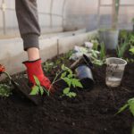 greenhouse-ga264d0f83_640