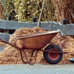 gardening-3997259_960_720