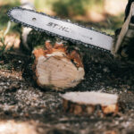 Pila-Stihl-683×1024 (1)